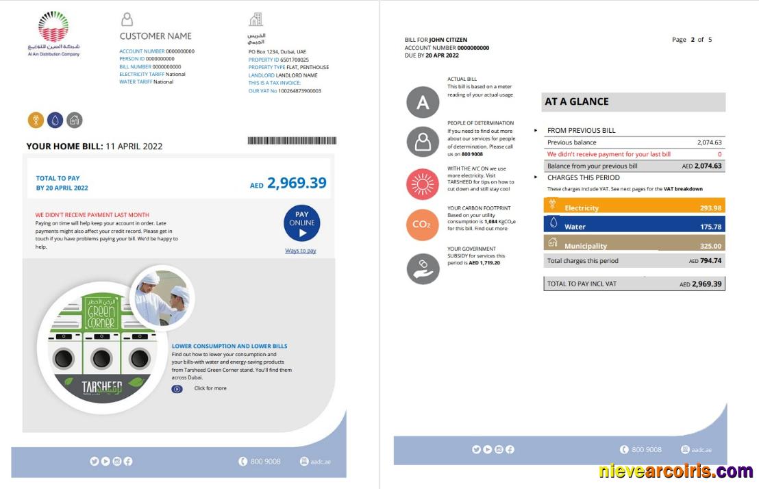 UAE Dubai Al Ain Distribution Co utility bill 5 pages 1 2